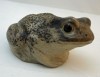Poole Pottery Stoneware Toad