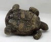 Poole Pottery Stoneware, Tortoise