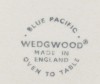 Wedgwood Blue Pacific Ramekin Dishes