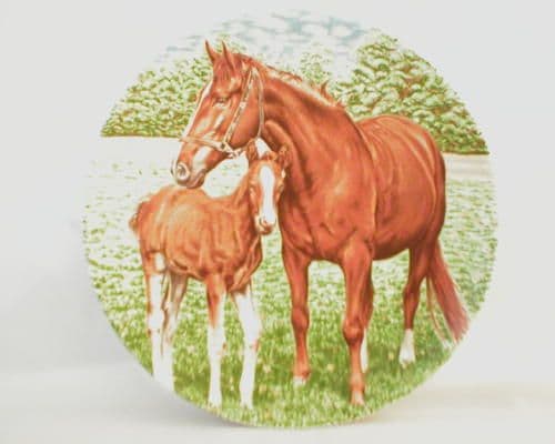 Poole Pottery Transfer Plate, Pony and Foal (2)
