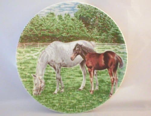 Poole Pottery Transfer Plate, Pony and Foal (4)