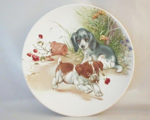 Poole Pottery Transfer Plate, Puppies Playing