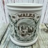 Denby Regional Mug - Wales