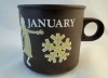 Hornsea Pottery Love Mug January