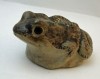 Poole Pottery Stoneware Toad