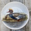 Poole Pottery Transfer Plate by John Gould - Red-Crested Duck