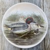 Poole Pottery Transfer Plate by John Gould - Teal