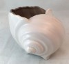Poole Pottery Twintone Mushroom and Sepia (C54) Shell