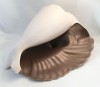 Poole Pottery Twintone Mushroom and Sepia (C54) Very Large  Shell (B)