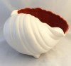 Poole Pottery, Twintone, Red Indian and Magnolia (C95) Large Shell