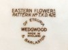 Wedgwood Eastern Flowers Dinner  Plates, Green Edging