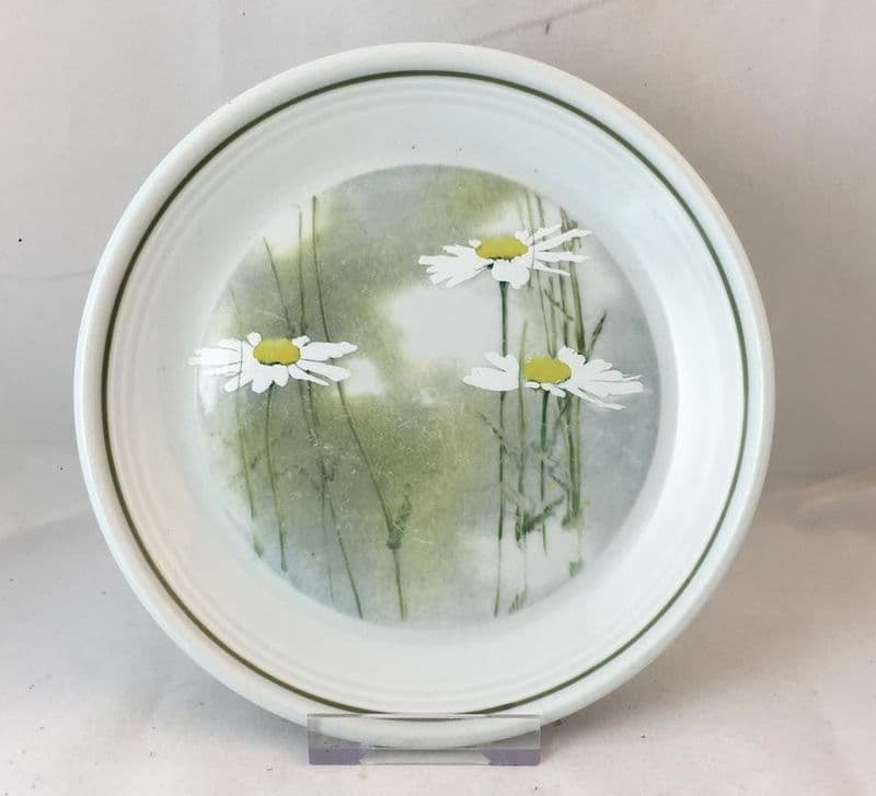 Royal Doulton Daisyfield (LS1040)