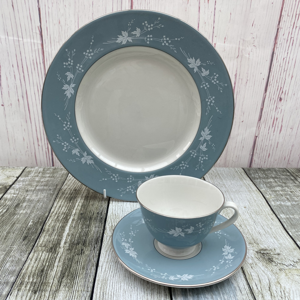 Royal Doulton Reflection (TC1008)