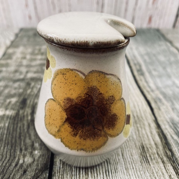 Denby Minstrel Mustard Pot