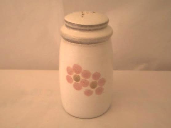 Denby Pottery Gypsy Pepper Pots