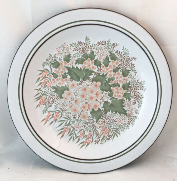 Hornsea Pottery Cascade Dinner Plates