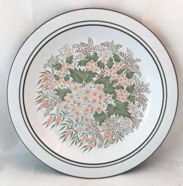 Hornsea Pottery Cascade Dinner Plates