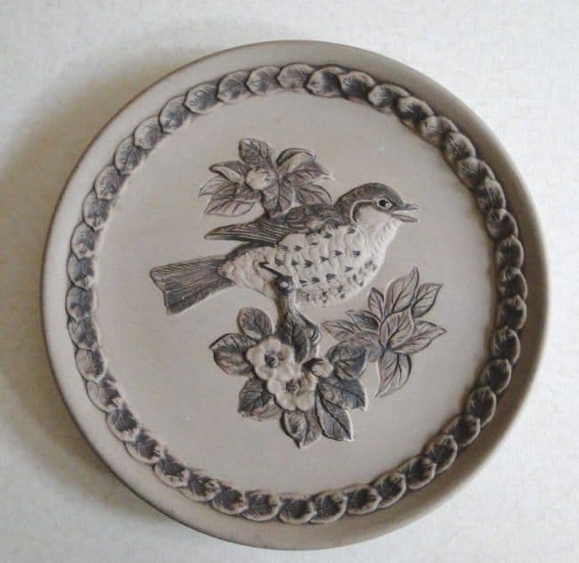 Poole Pottery Stoneware Plate, British Garden Birds, The Song Thrush