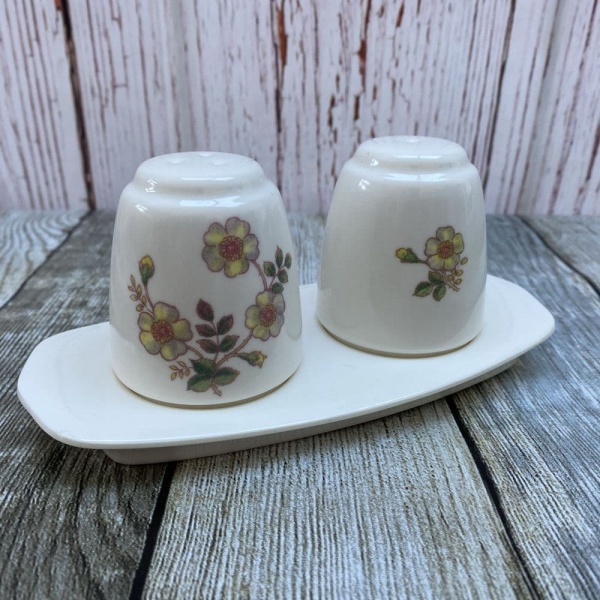 Marks & Spencer Autumn Leaves Melamine Salt & Pepper Set