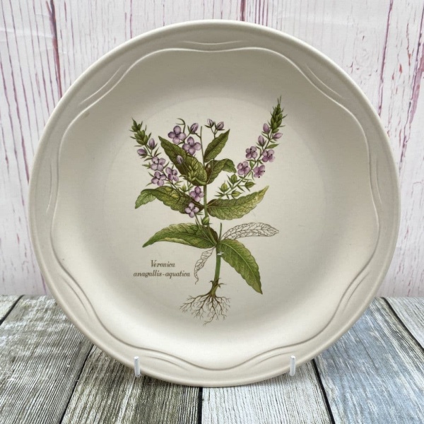 Poole Pottery Country Lane Breakfast/Salad Plate