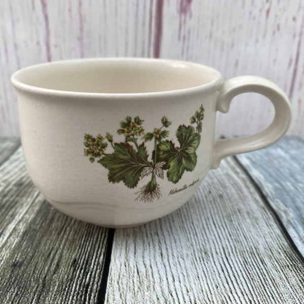 Poole Pottery Country Lane Tea Cup