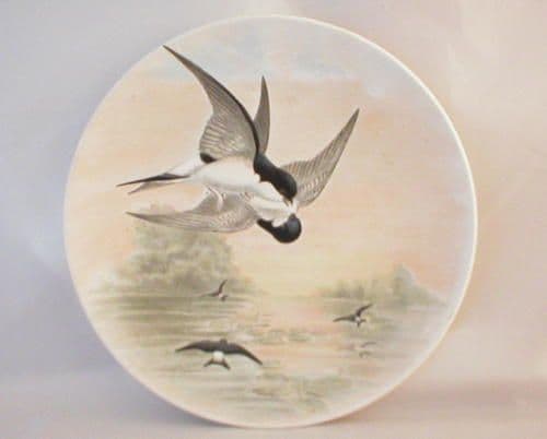 Poole Pottery Transfer Plate, House-Martin by John Gould