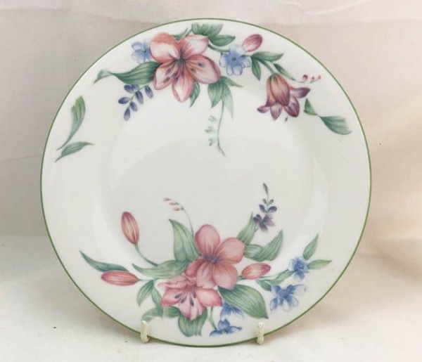 Royal Doulton Carmel Dinner Plates