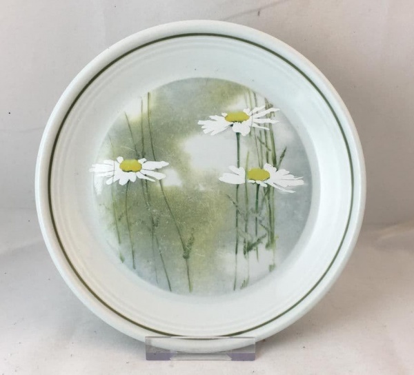 Royal Doulton Daisyfield L.S.1040 Tea Plates