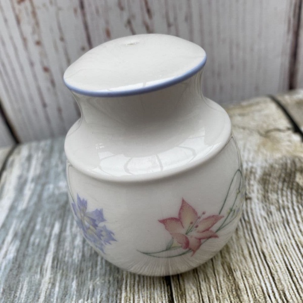 Royal Doulton Summer Carnival Salt Pot