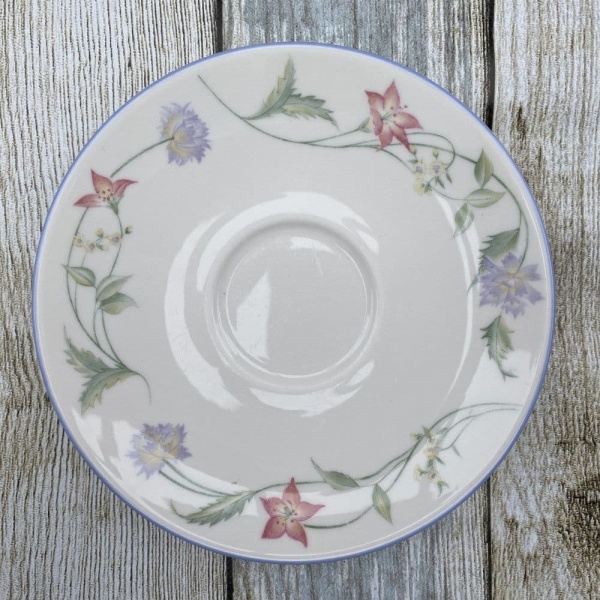 Royal Doulton Summer Carnival Tea Saucer