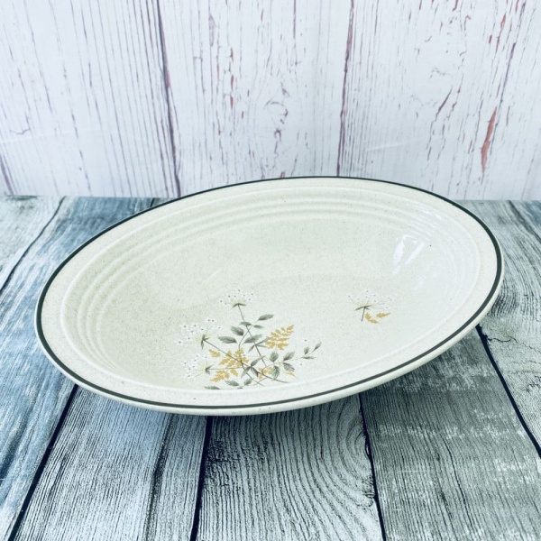 Royal Doulton Will o' the Wisp Oval Serving Dish (Rimmed - Thin Line)