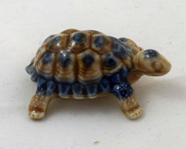 Wade Baby Tortoise