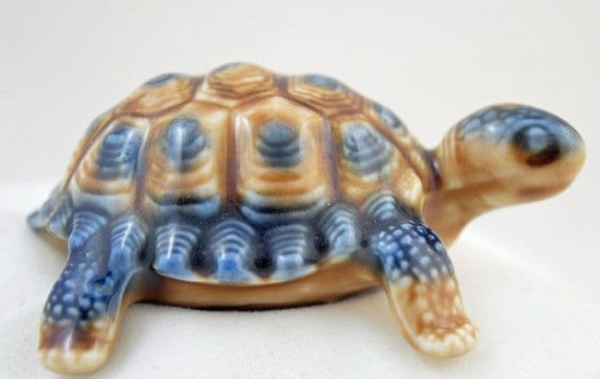 Wade Baby Tortoise (Larger Version)