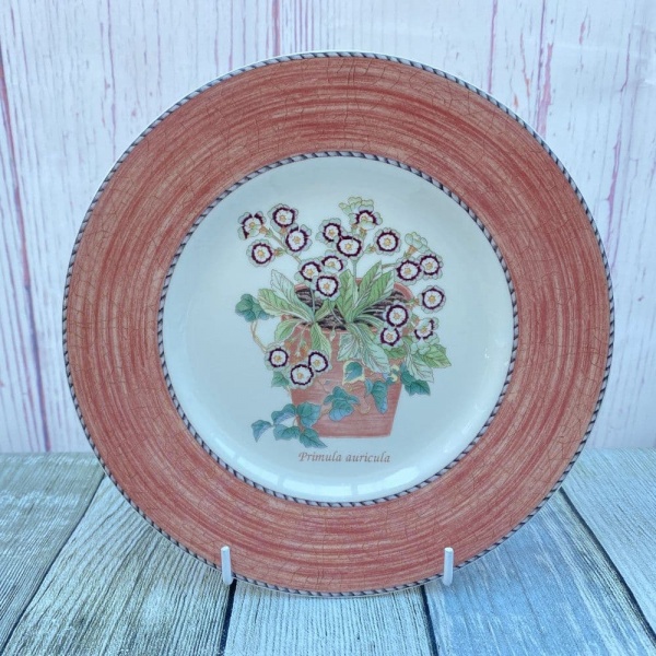 Wedgwood Sarah's Garden Salad Plate (Terracotta)