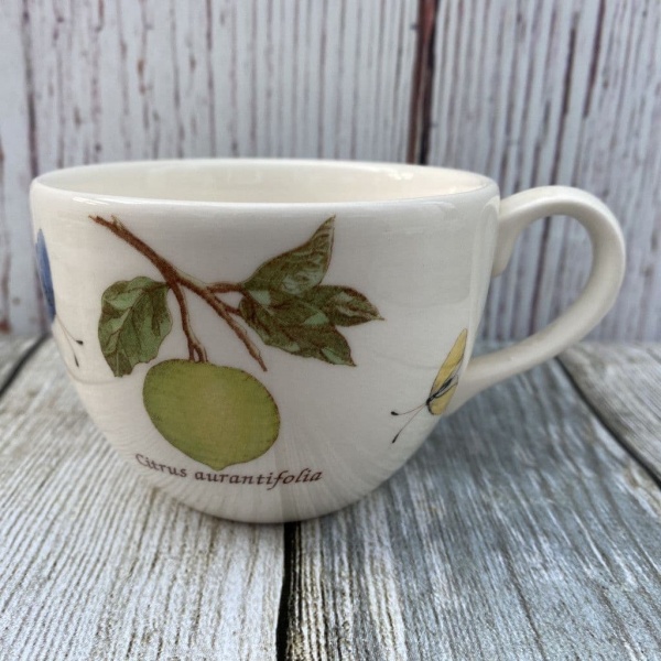 Wedgwood Sarah's Garden Tea Cup